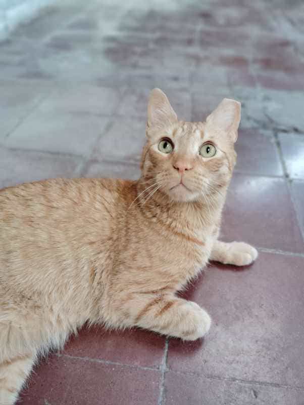 Foto de Francis