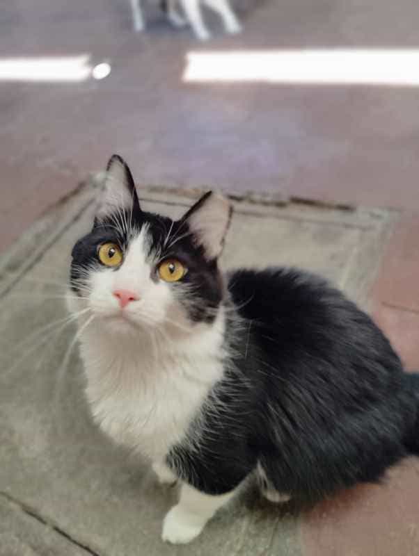 Foto de Martín