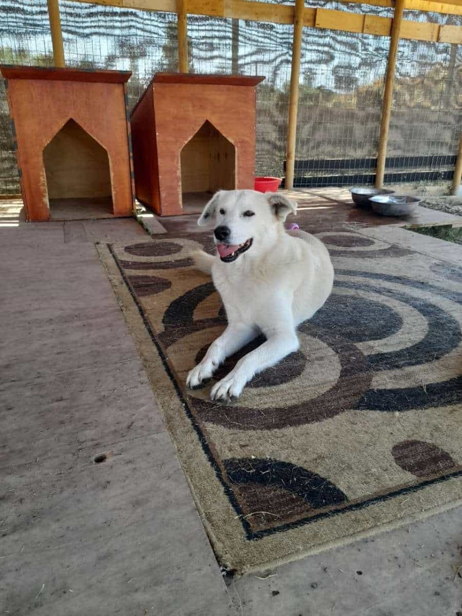 Foto de Pili