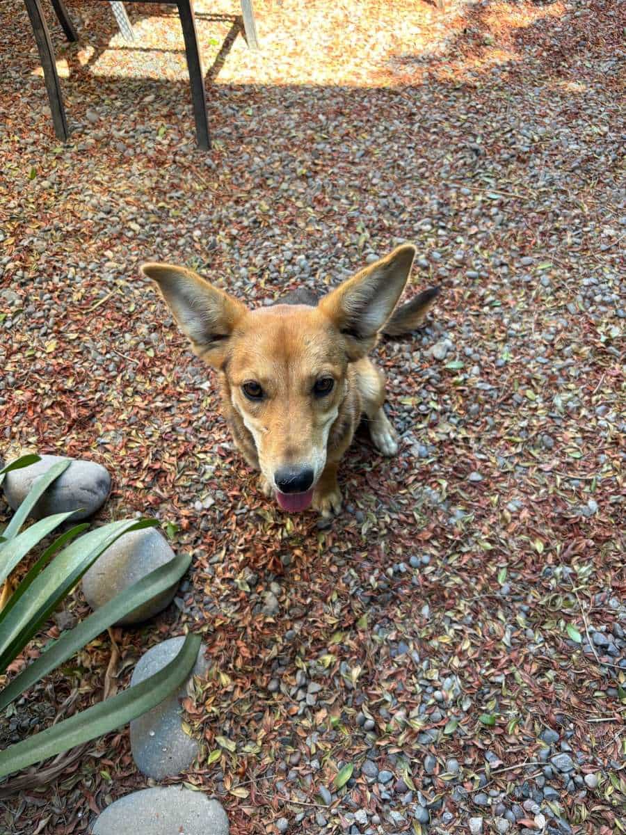Foto de Rita