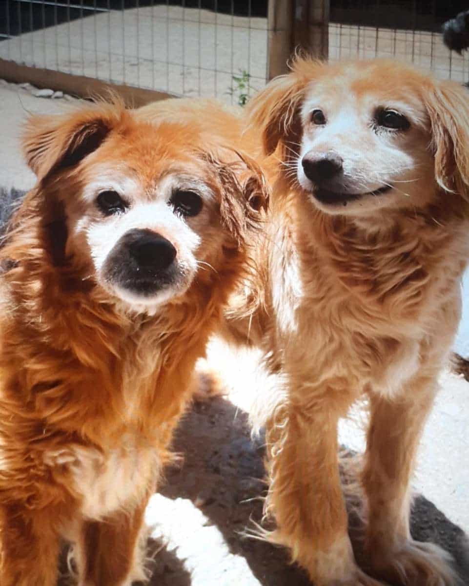Foto de Eugenia y magaly