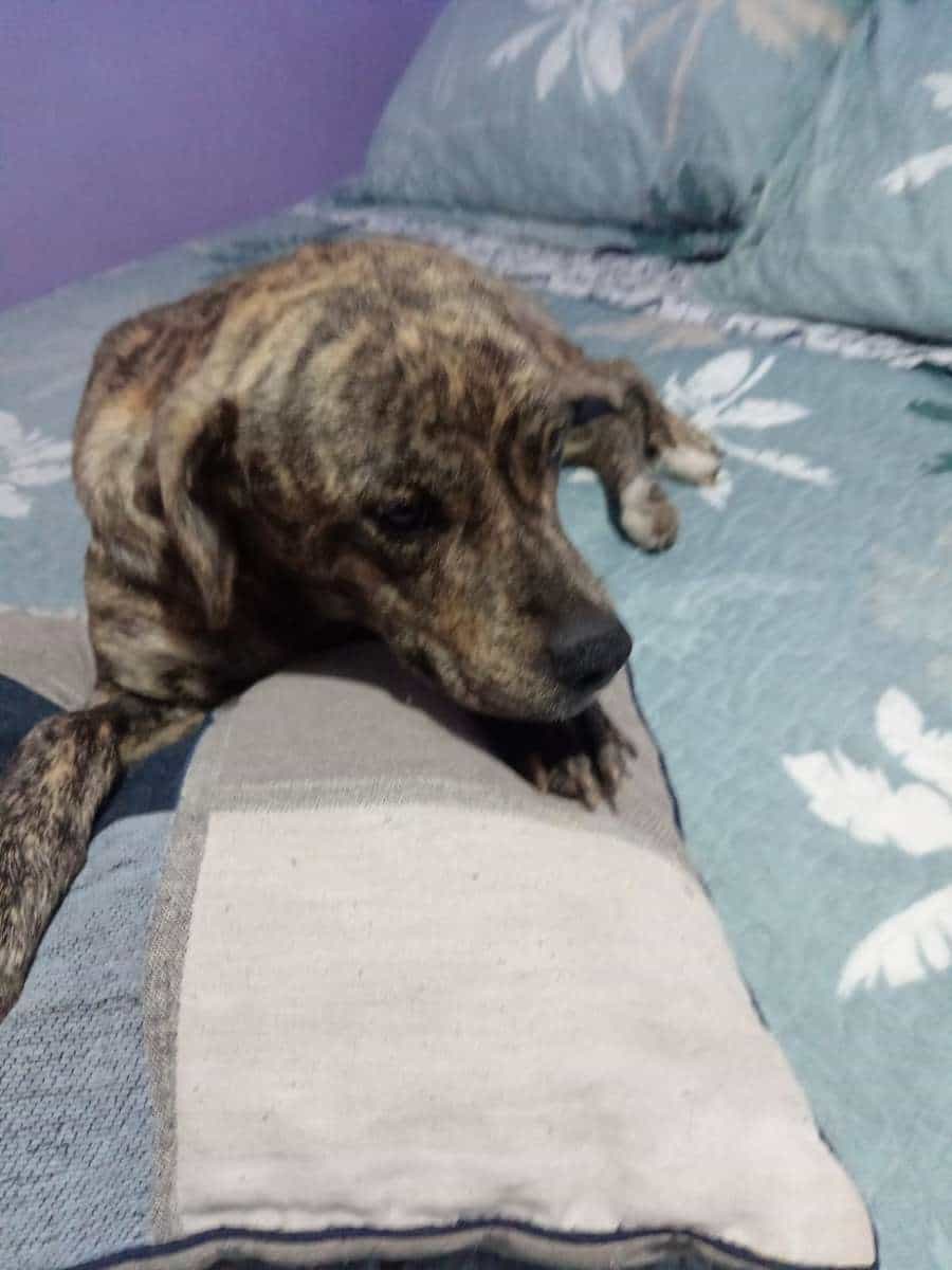 Foto de Elena