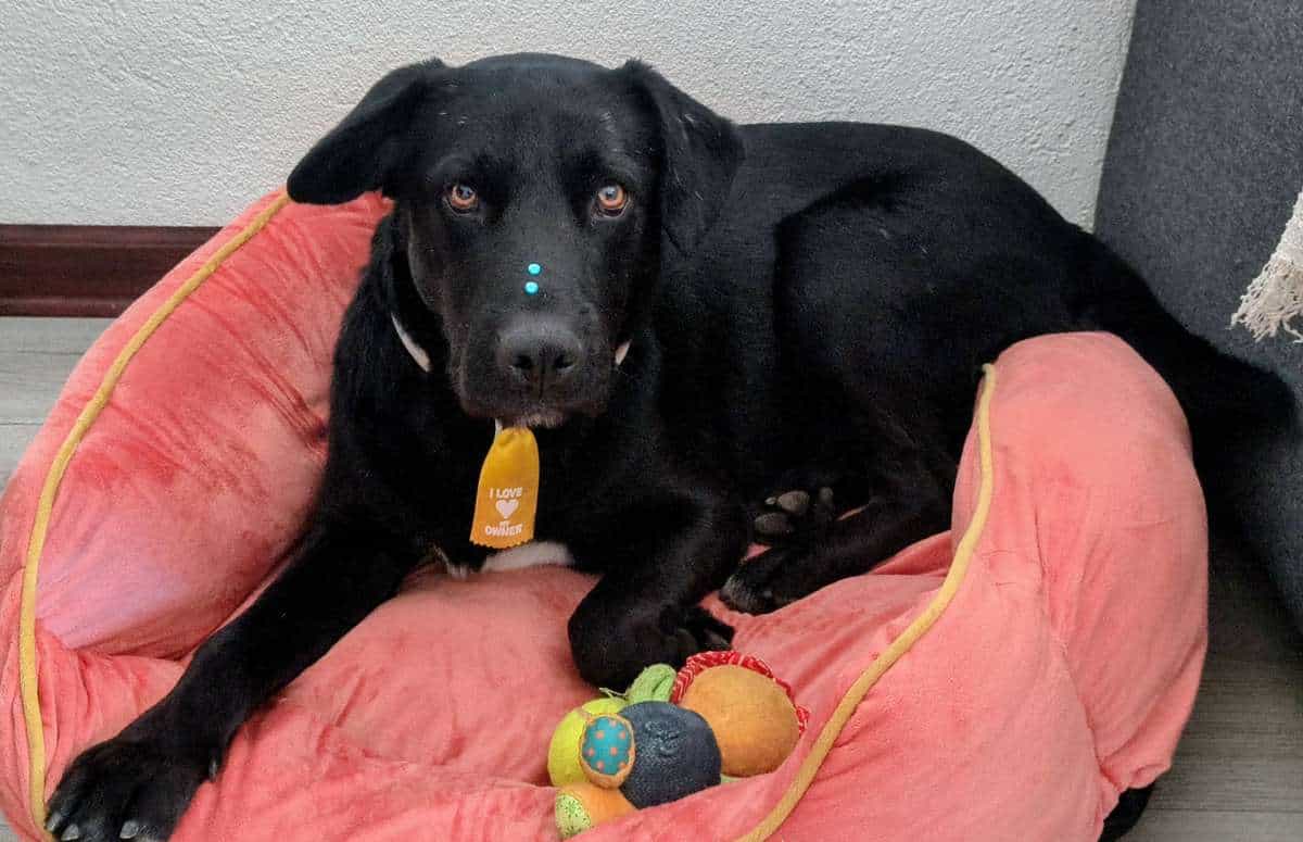 Foto de Paquito