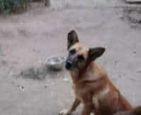 Foto de Miel
