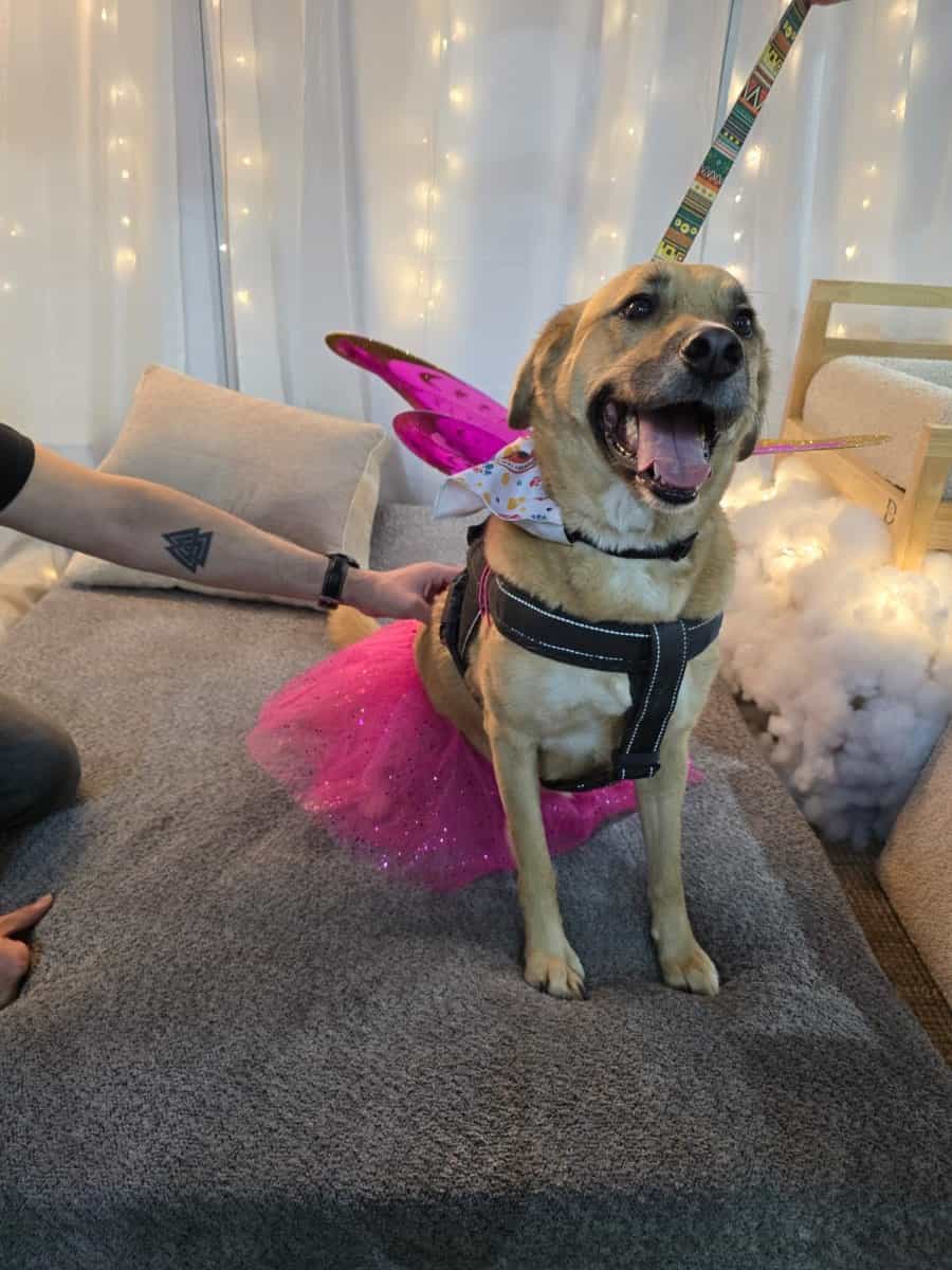 Foto de Miel