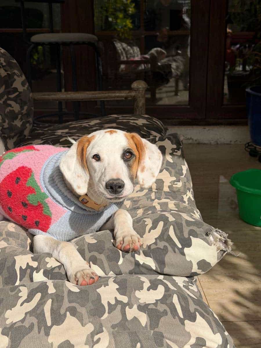 Foto de Bianca 💓