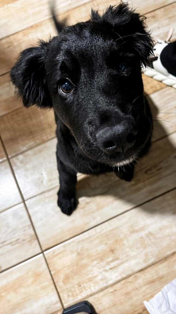 Foto de Gala 💝