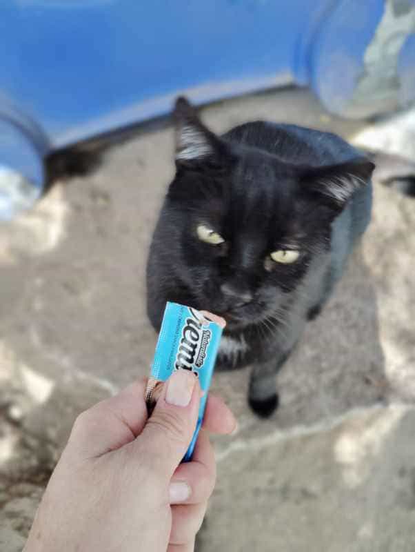 Foto de Negri
