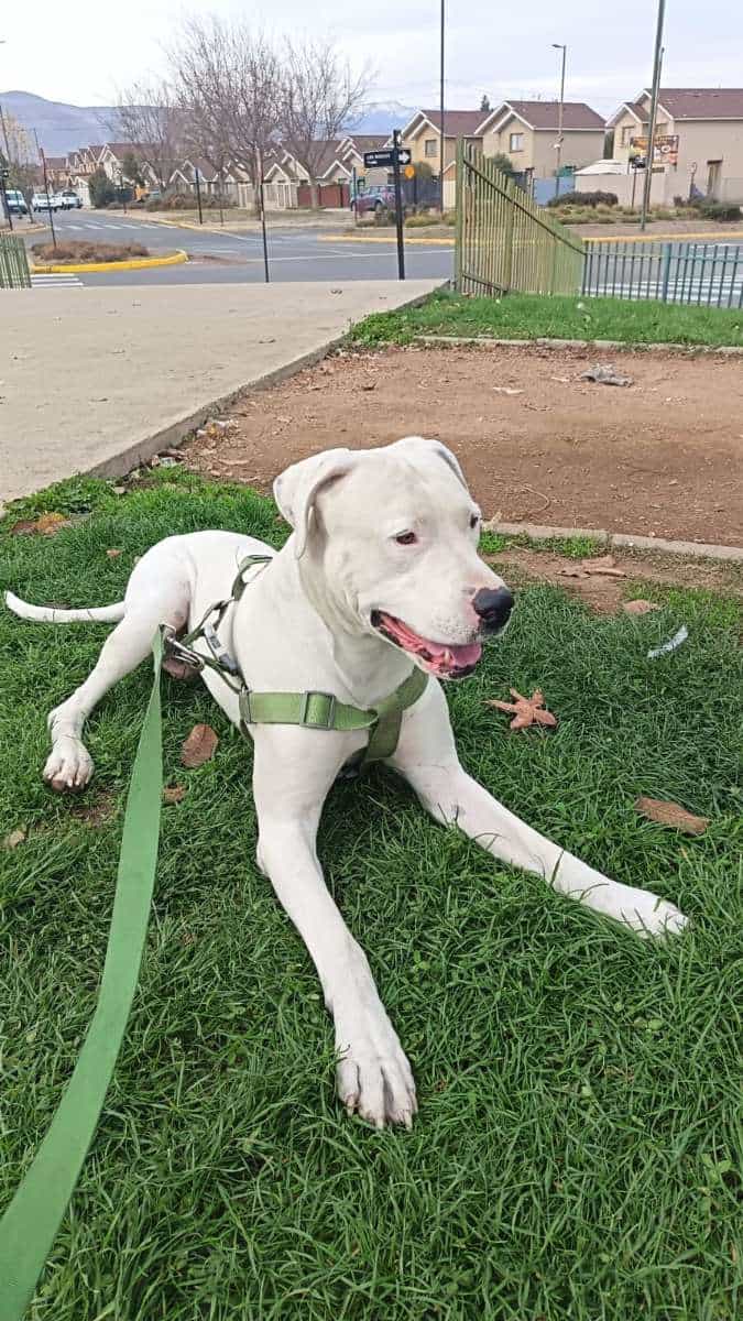 Foto de Bonny