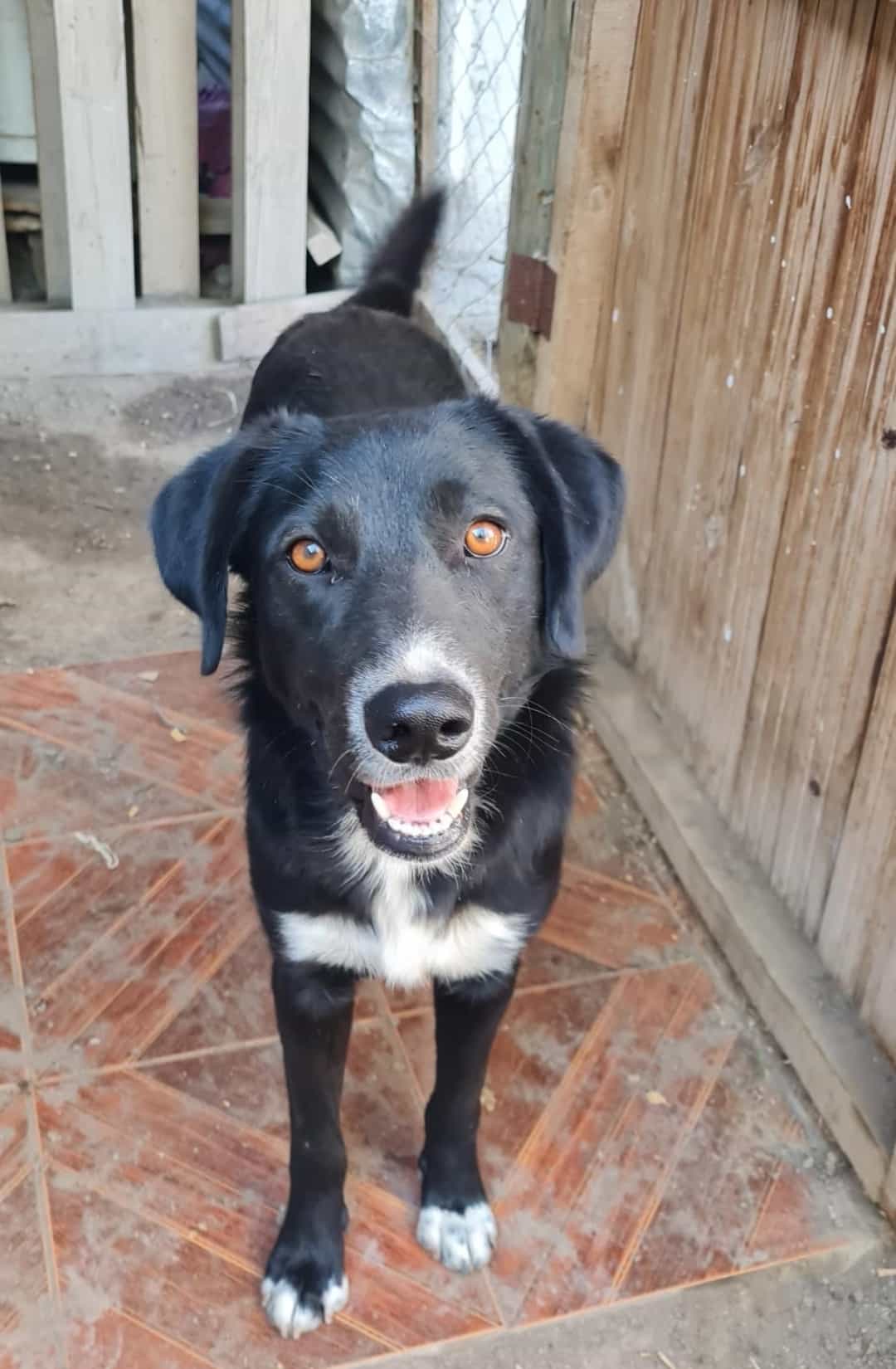 Foto de Kiko