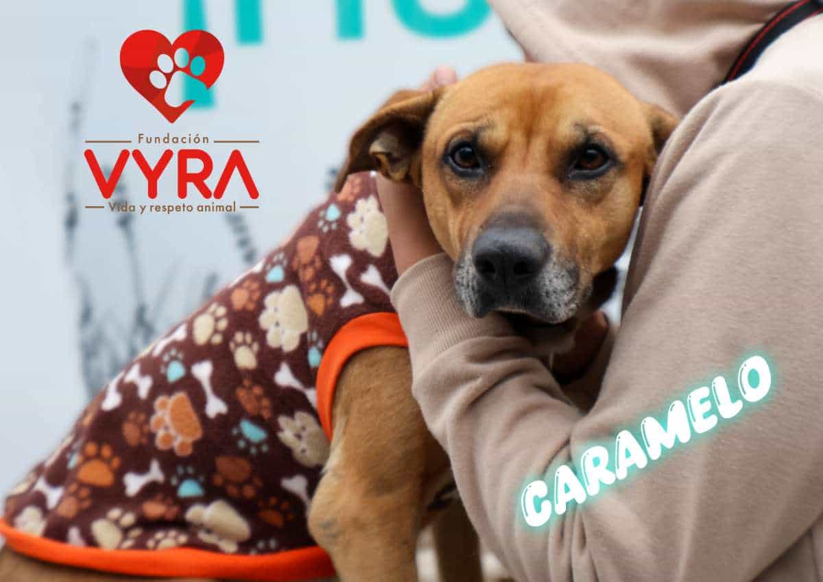 Foto de Caramelo