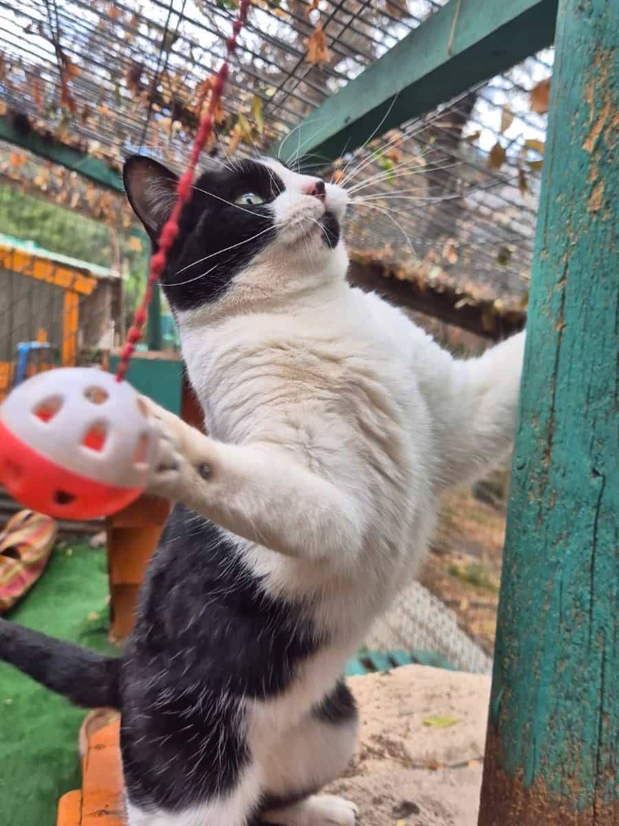 Foto de Nayen