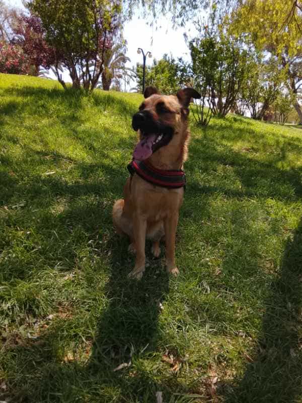 Foto de Bichota