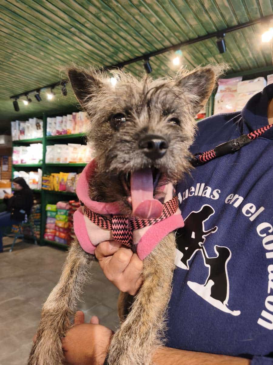 Foto de Cloe