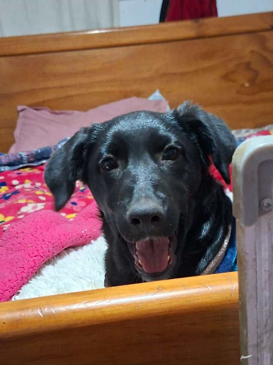 Foto de Victoria