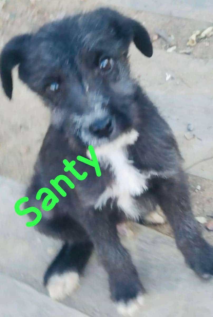 Foto de Santy
