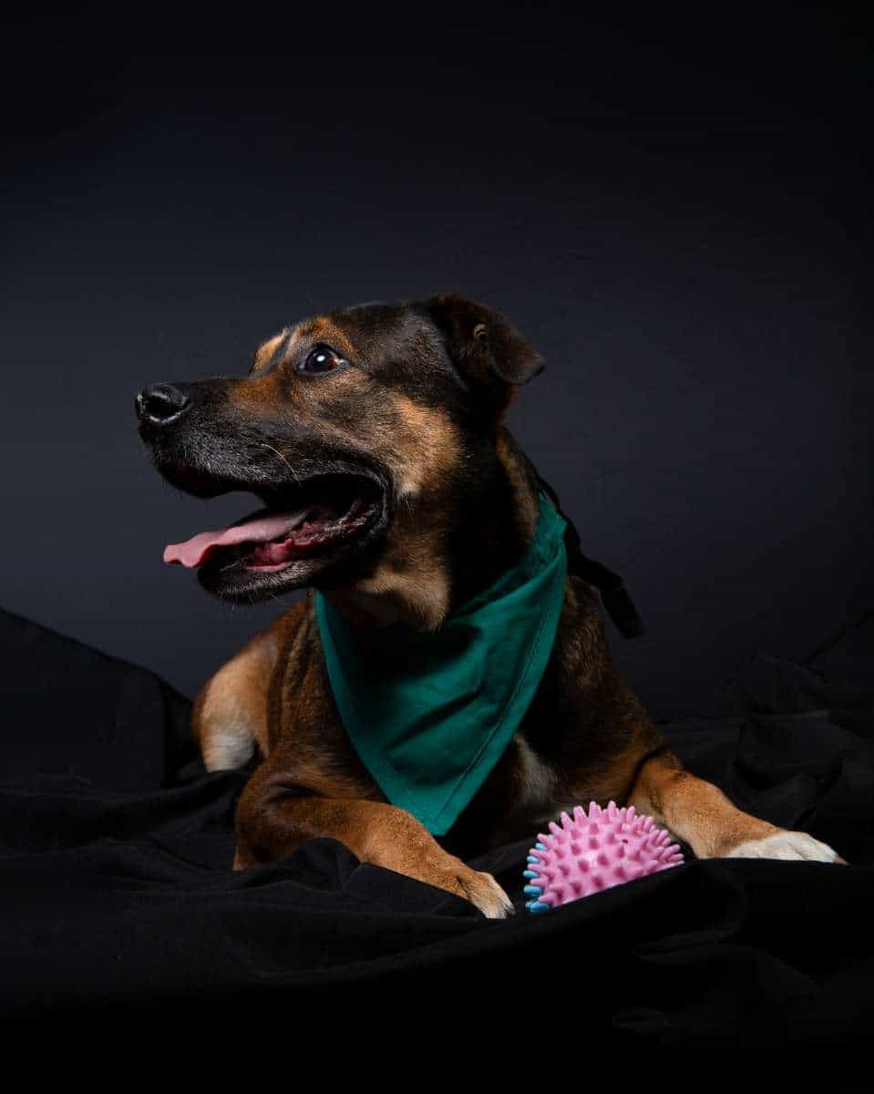 Foto de Max