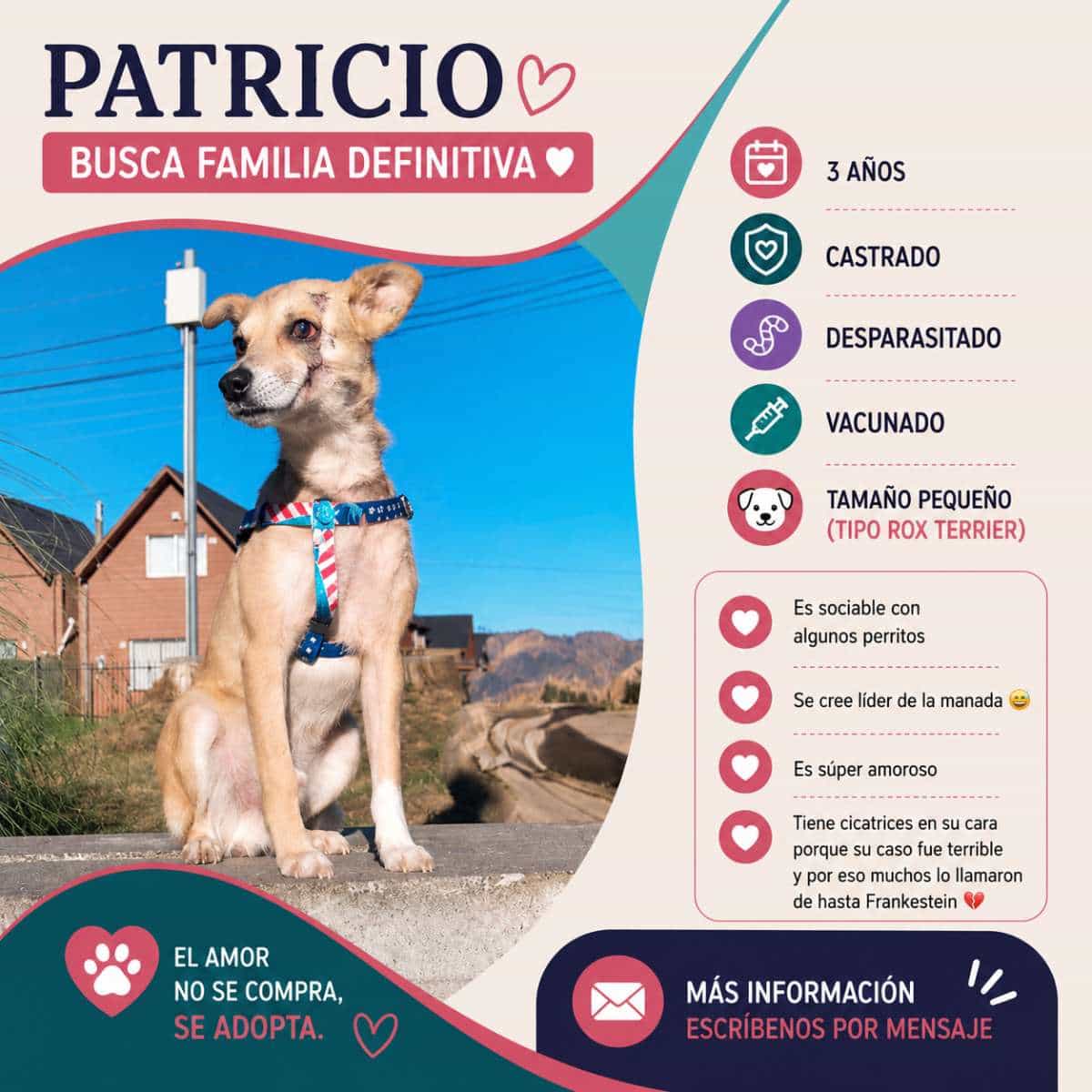 Foto de PATRICIO