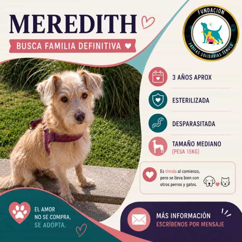 Foto de MEREDITH