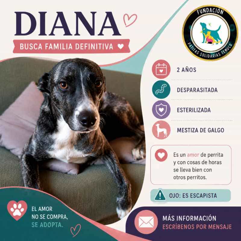 Foto de Diana