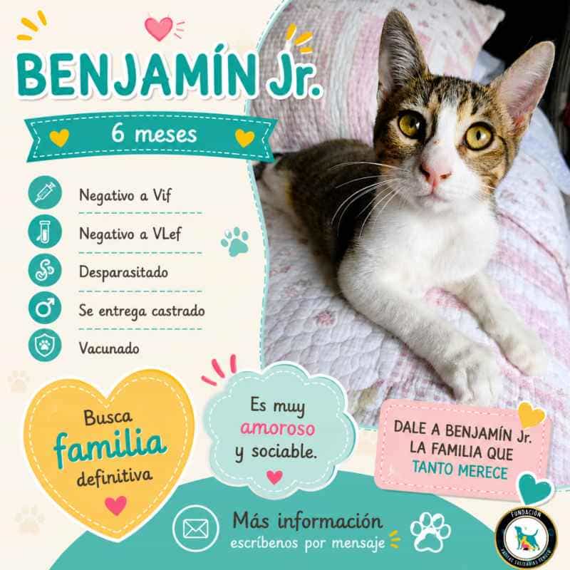 Foto de Benjamin Jr.