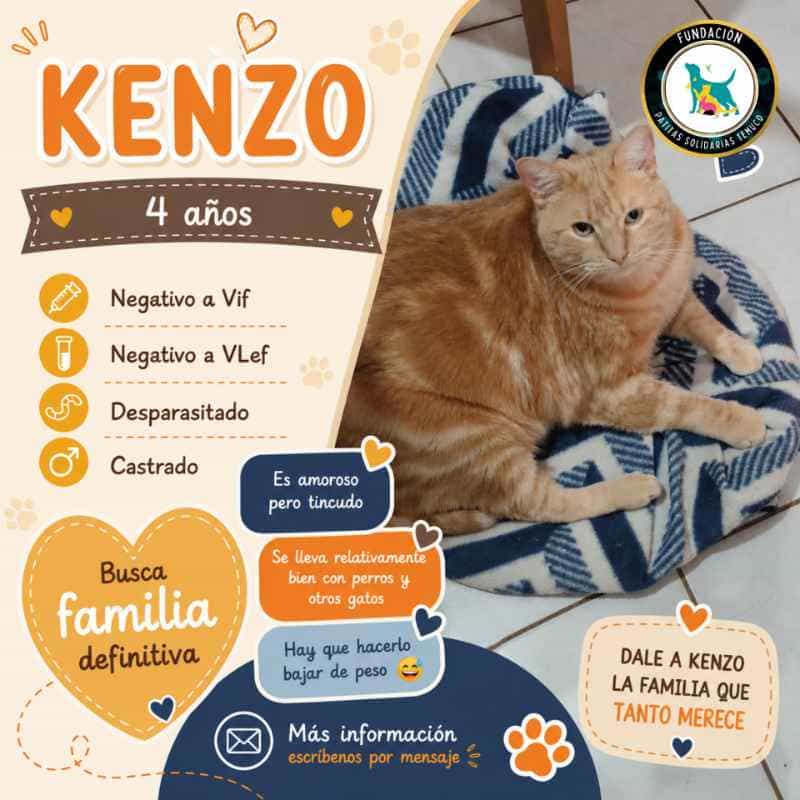 Foto de Kenzo