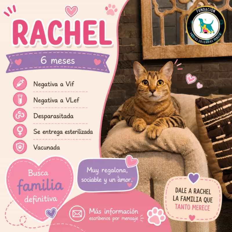 Foto de Rachel
