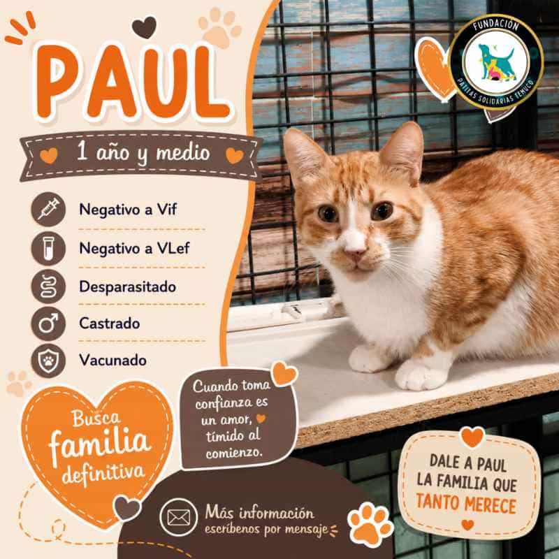 Foto de Paul