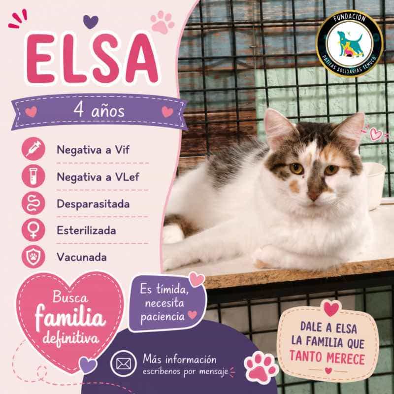 Foto de Elsa