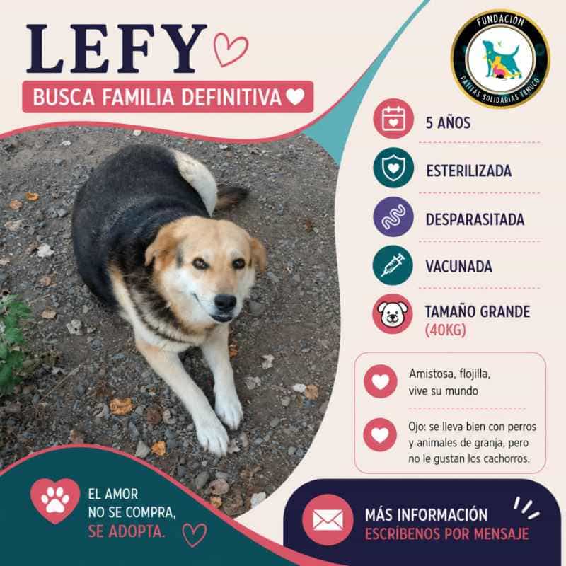 Foto de Lefy