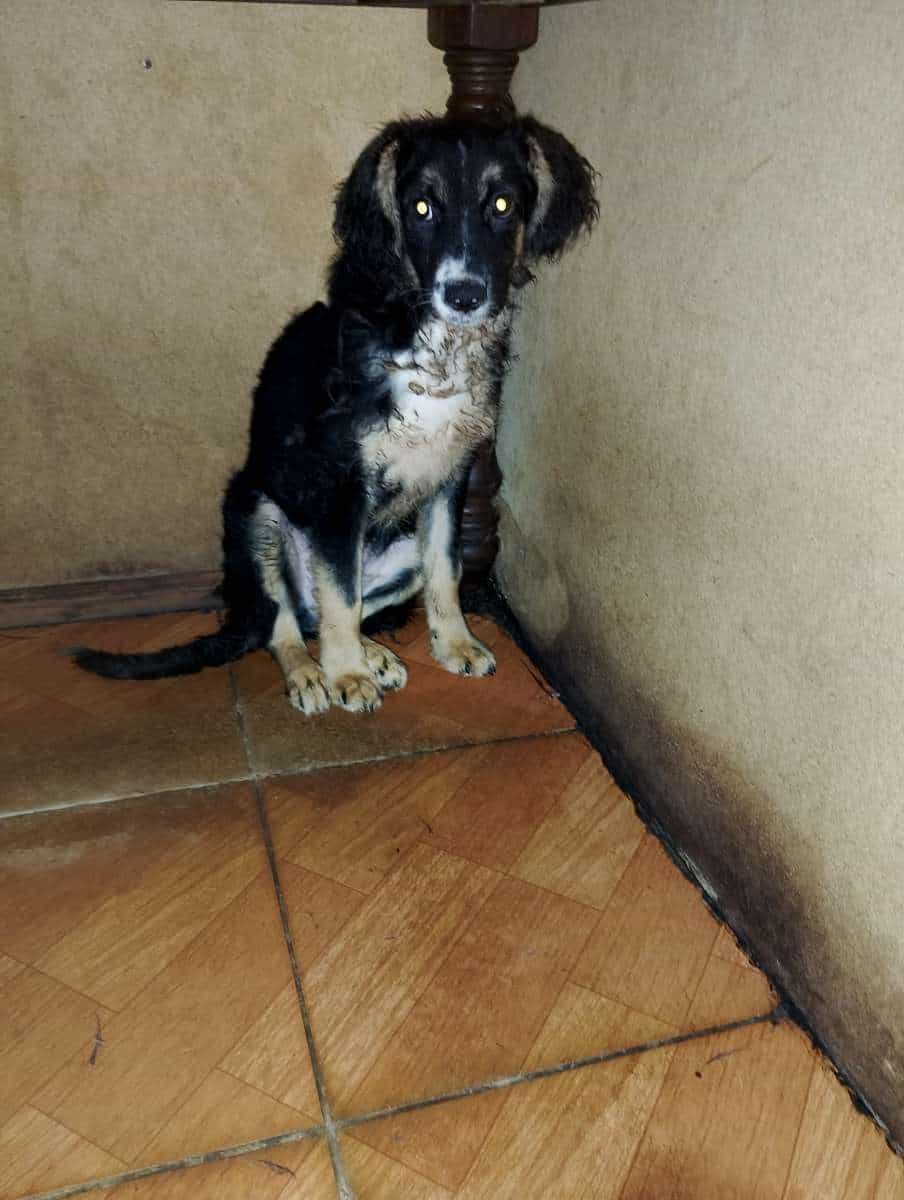 Foto de Fito