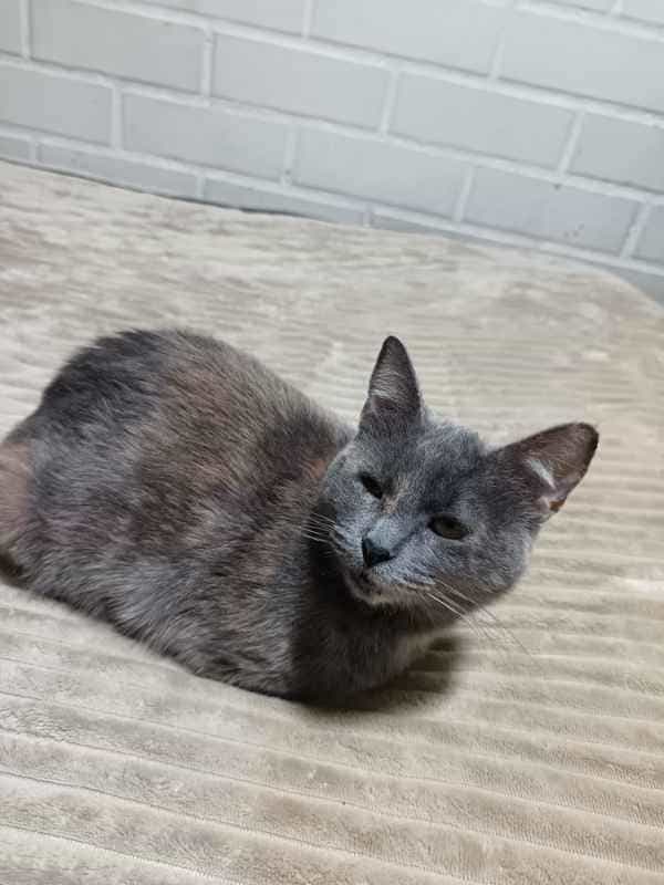 Foto de Lulu