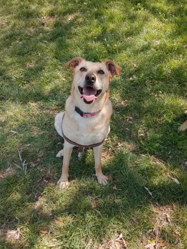Foto de Chubi