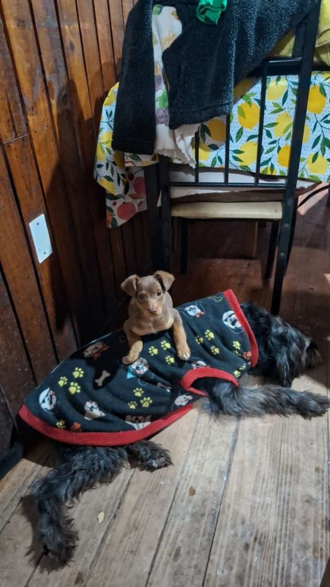 Foto 4