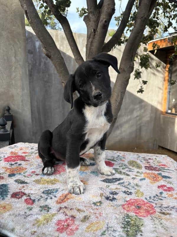 Foto de Manitas
