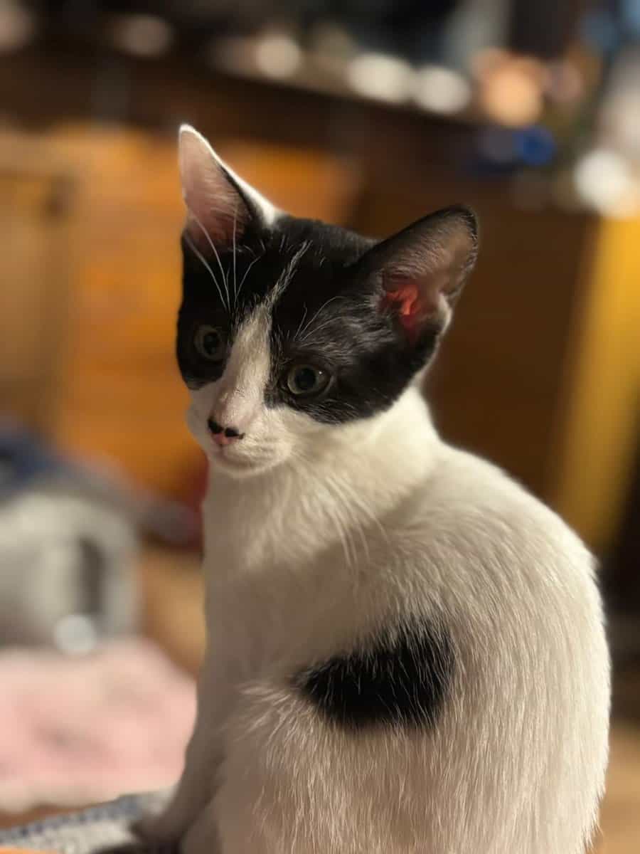 Foto de Alba