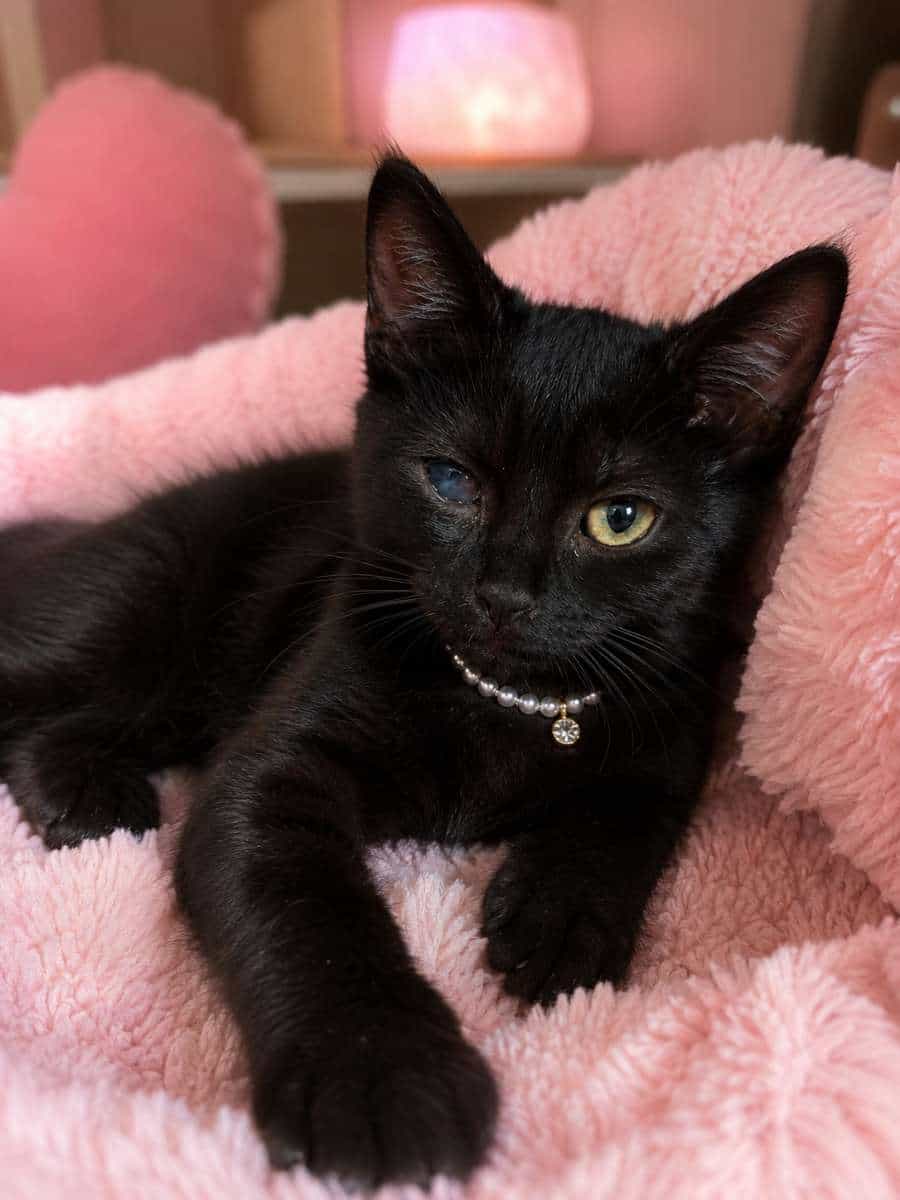 Foto de Samantha