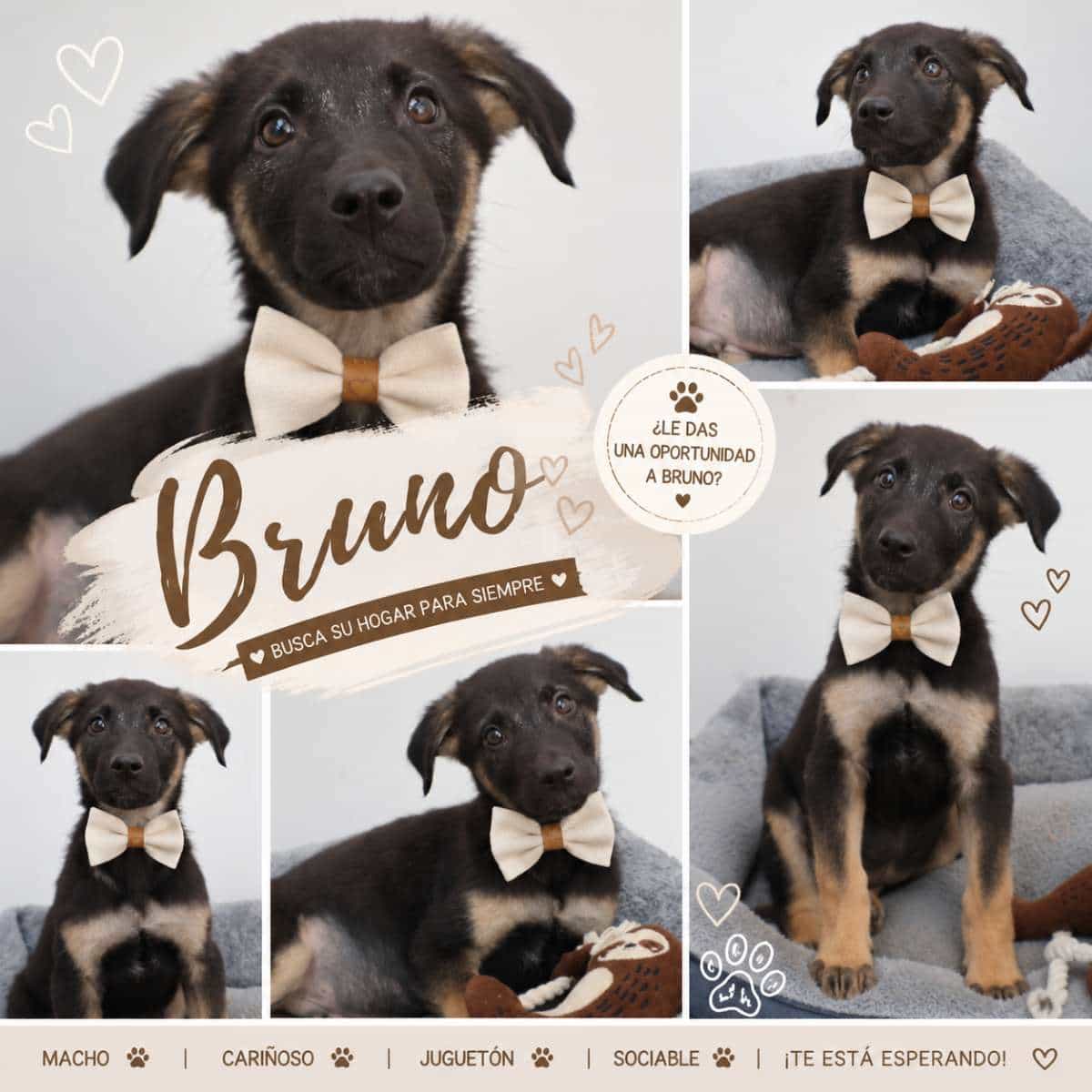 Foto de Brunito