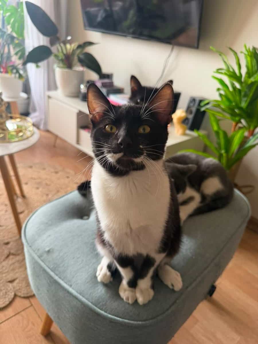 Foto de Nilo