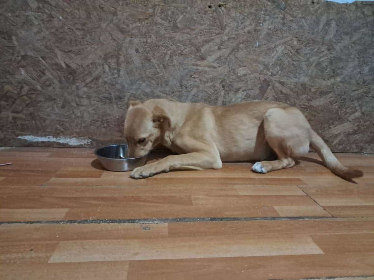 Foto de Luchito