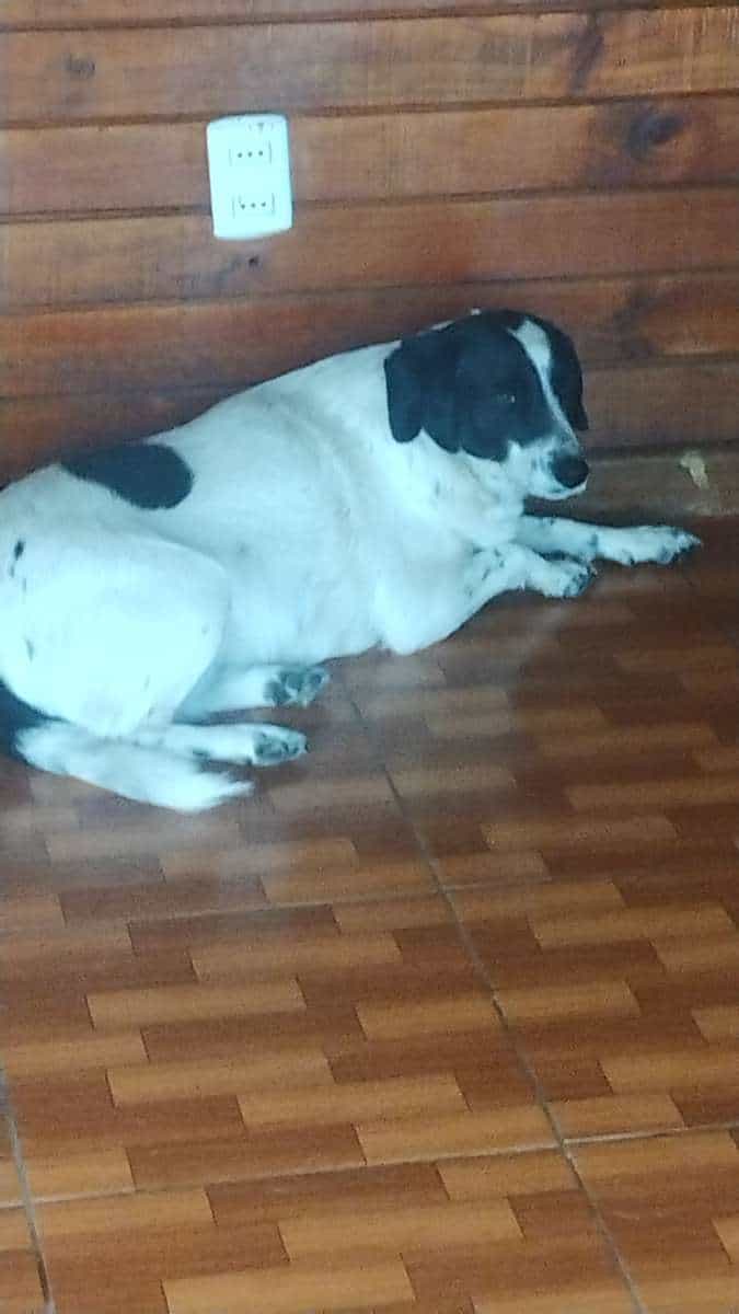 Foto de Muñeca