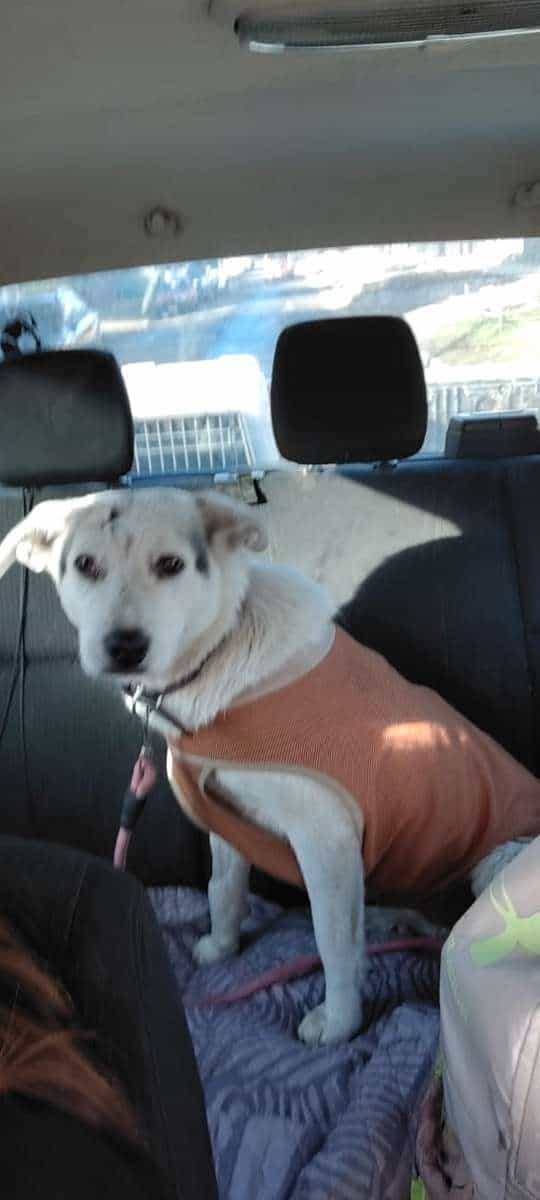 Foto de Lola