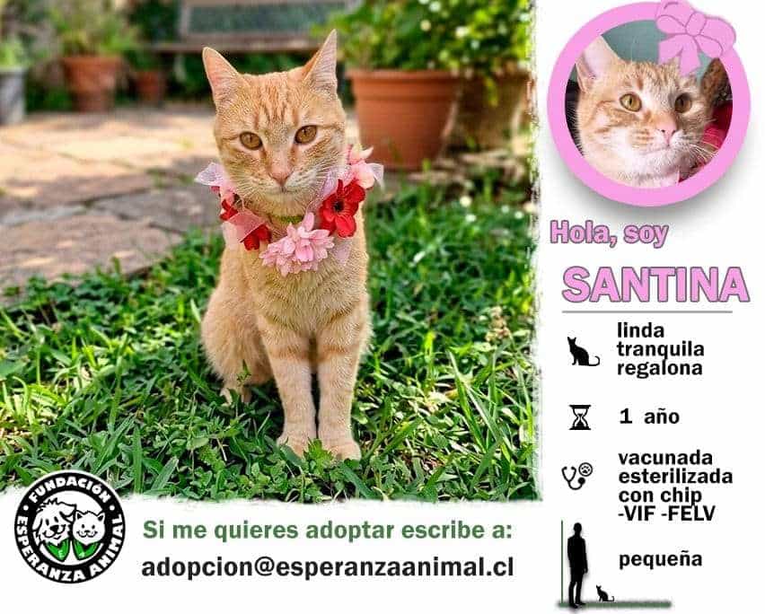 Foto de Santina