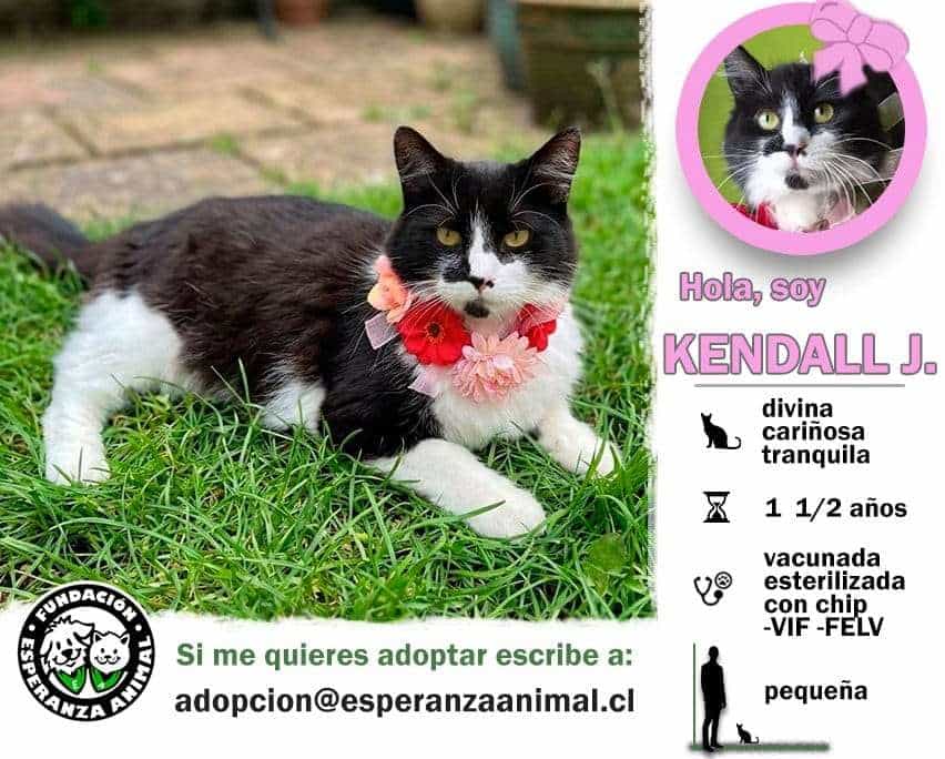 Foto de Kendall J.