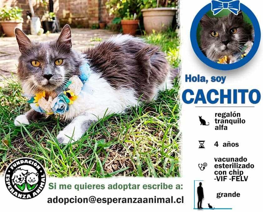 Foto de Cachito
