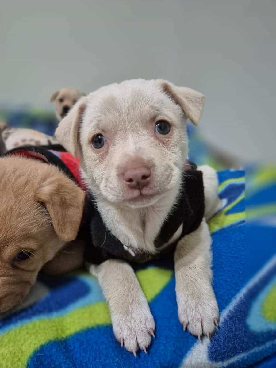 Foto de Nelly