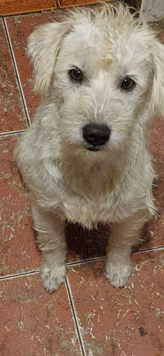 Foto de Valentín
