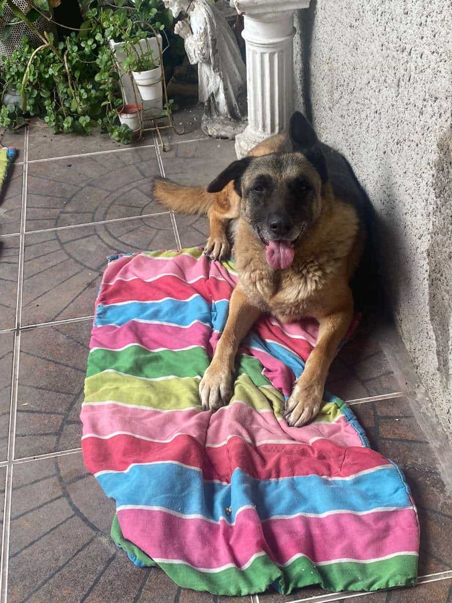 Foto de Cheisita