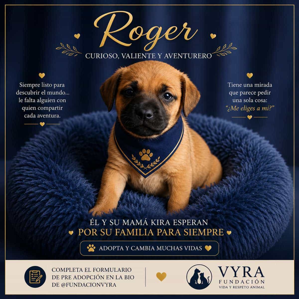Foto de Roger