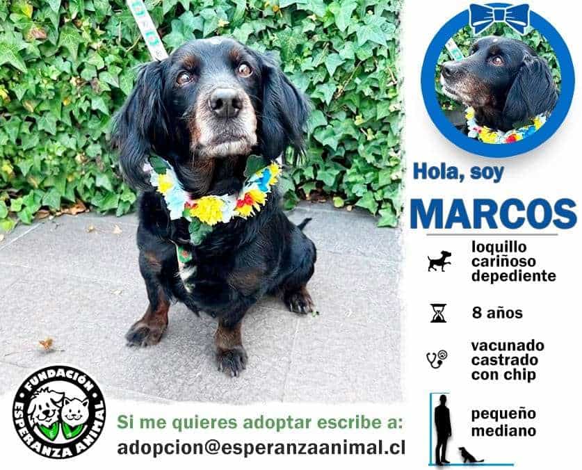 Foto de Marcos